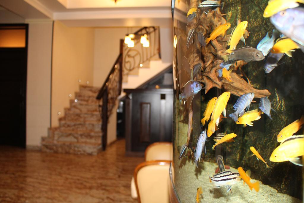 Hotel Anna Junior Târgu Jiu Extérieur photo